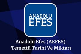 2025-aefes-temettu-tarihi-ve-miktari-aefes-temettu-tahmini.jpg
