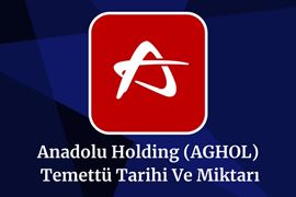 2025-aghol-temettu-tarihi-ve-miktari-aghol-temettu-tahmini.jpeg