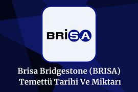 2025-brisa-temettu-tarihi-ve-miktari-brisa-temettu-tahmini.jpeg