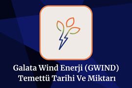 2025-gwind-temettu-tarihi-ve-miktari-gwind-temettu-tahmini.jpeg