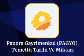 2025-pagyo-temettu-tarihi-ve-miktari-pagyo-temettu-tahmini.jpeg