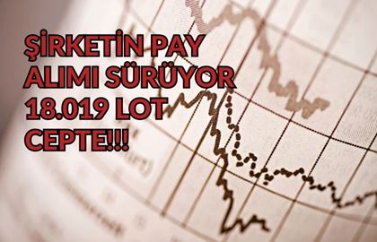 3 Yıllık Geri Alım Planı Sürüyor: Şirket, 18.019 Pay Geri Aldı