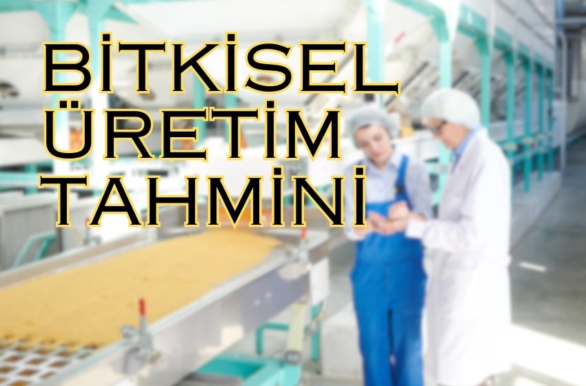 Bitkisel Ürün Üretiminde Artış Tahmin Ediliyor