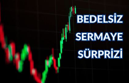 Elektrikli Ev Aletleri Şirketinden Sermaye Artışı: Sürpriz Artış %831