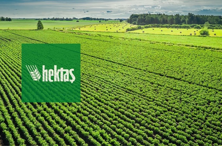 Hektaş Bedellisi Başlıyor! Bedelli Hakkında Detaylar!