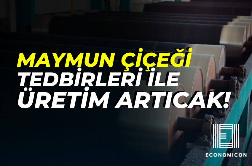 Maymun Çiçeği Tedbirleriyle Üretimi Artırmaya Hazırlanıyor