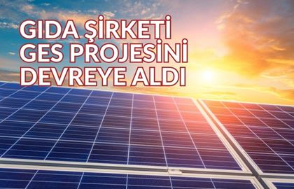 Yeni Halka Arz Olmuştu: Gıda Şirketi, GES Projesini Devreye Aldı